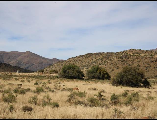 31HA FARM FOR SALE IN MIDDELBURG RURAL